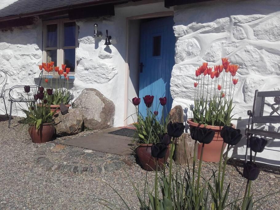 Traditional Stone Cottage With Sea Views In Snowdonia National Park Brynkir Exterior photo